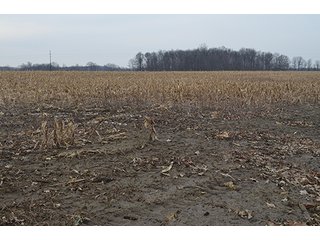 Property photo 18 - LAND AUCTION, 77 Acres offered in 3 Tracts